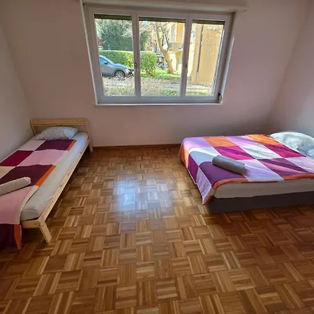 Large Flats, Center - Schc *